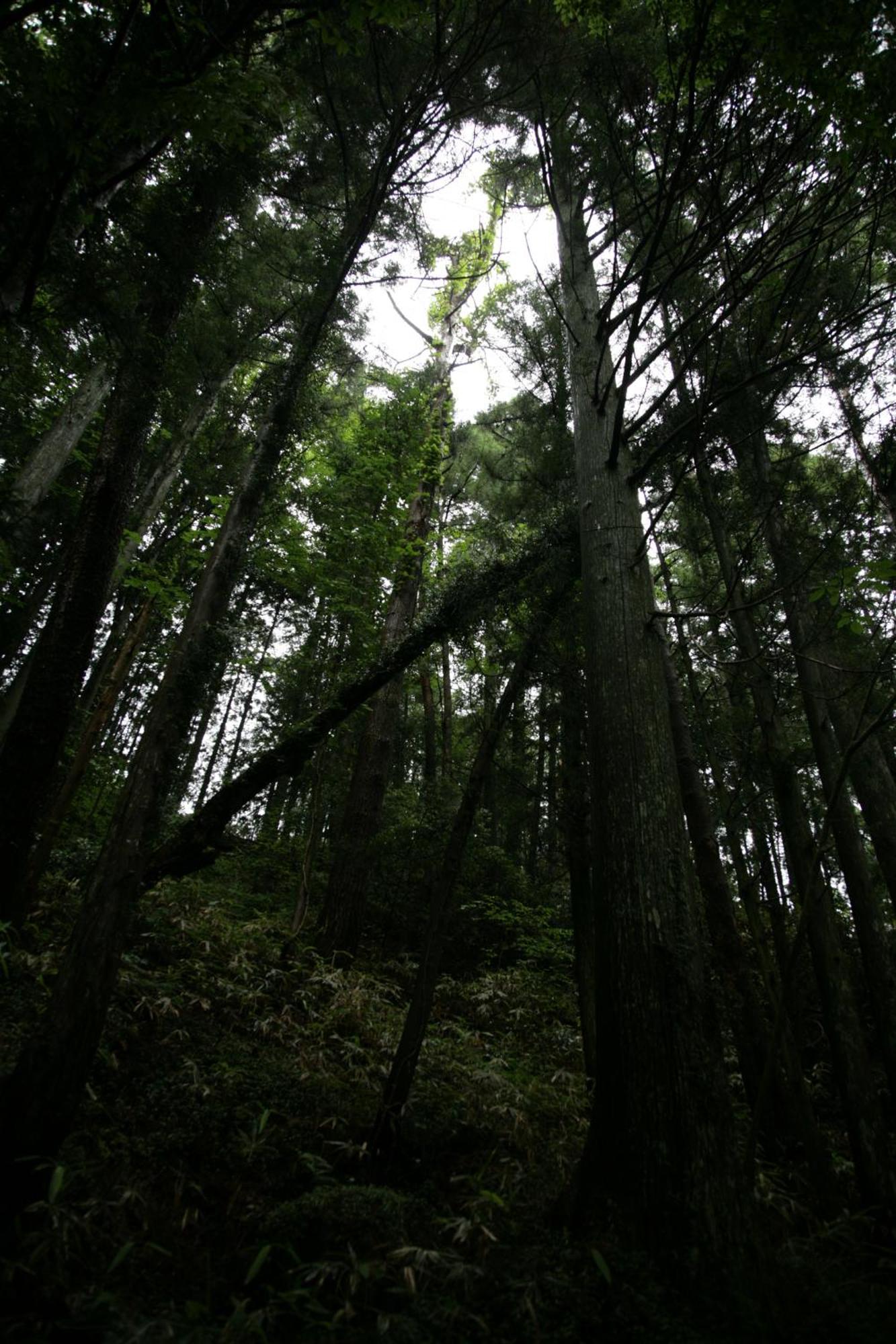 Magome Chaya Nakatsugawa Exterior foto
