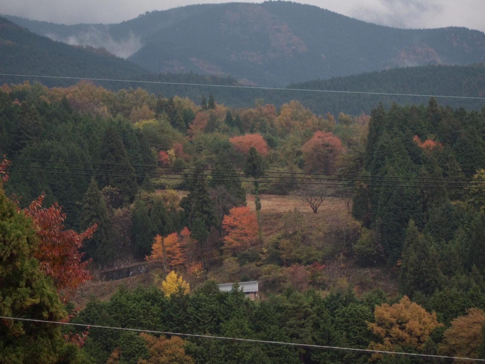 Magome Chaya Nakatsugawa Exterior foto